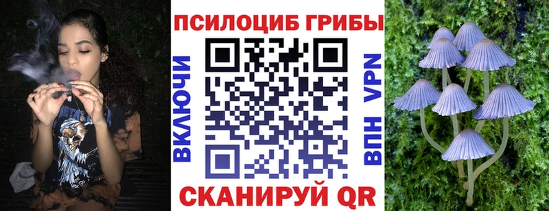 Псилоцибиновые грибы прущие грибы  KRAKEN рабочий сайт  Дальнереченск 